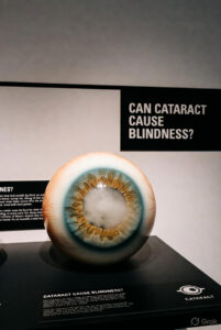 Can cataract cause blindness